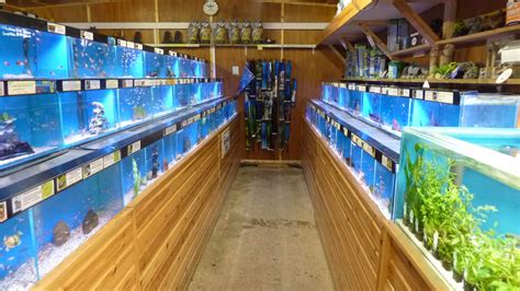 Fish Store .